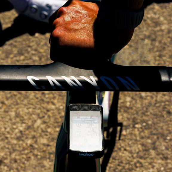 Community photo shared with #Wahooligan